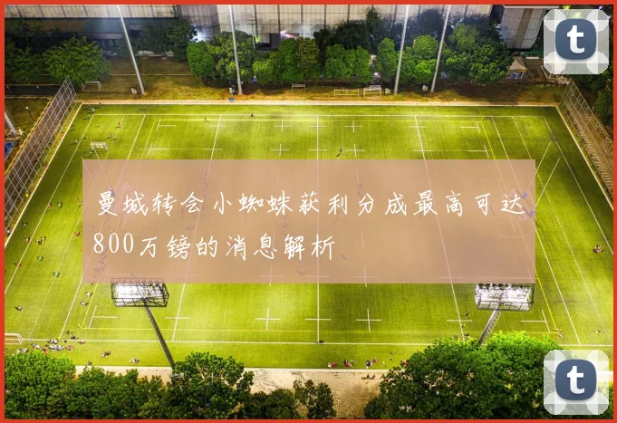 曼城转会小蜘蛛获利分成最高可达800万镑的消息解析