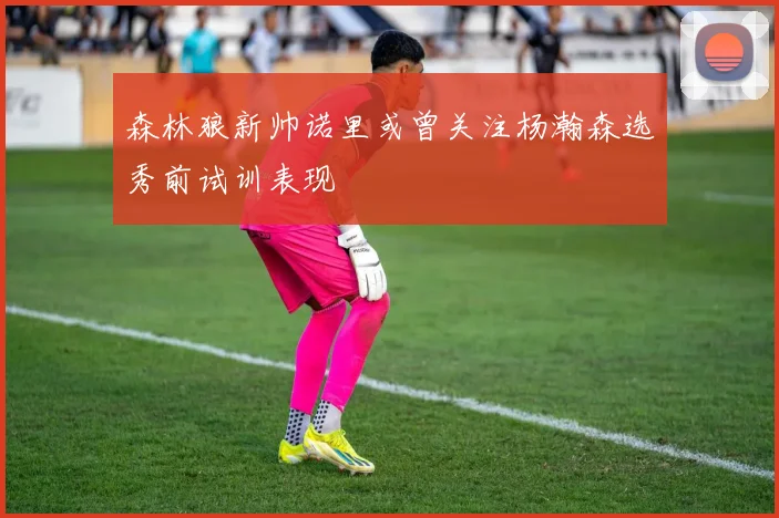 森林狼新帅诺里或曾关注杨瀚森选秀前试训表现